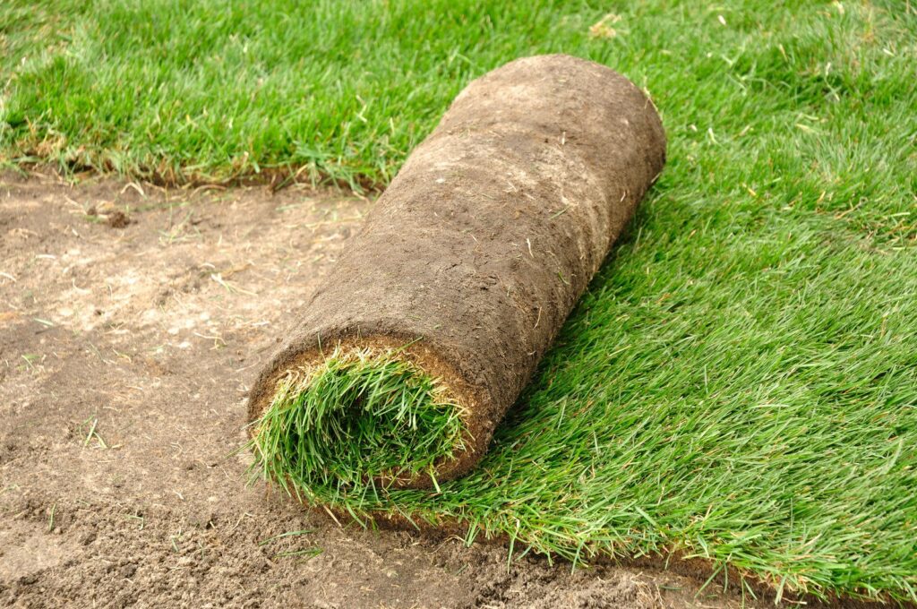 sod installation, sod roll